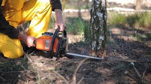 Best Lawn Maintenance Plans  in Port Edwards, WI